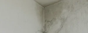 infiltração na parede